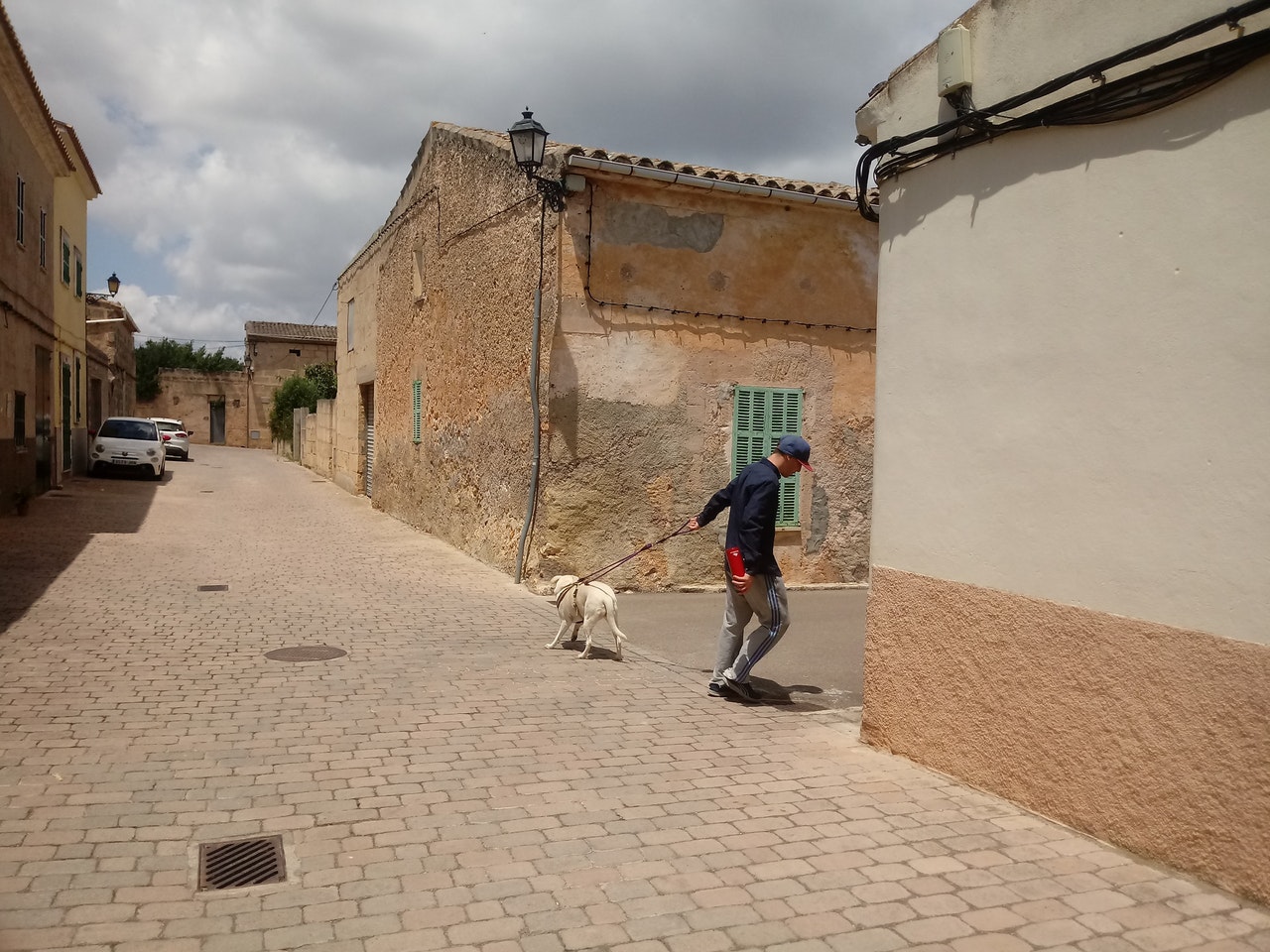 Socialisera din hund